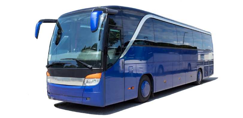 bus